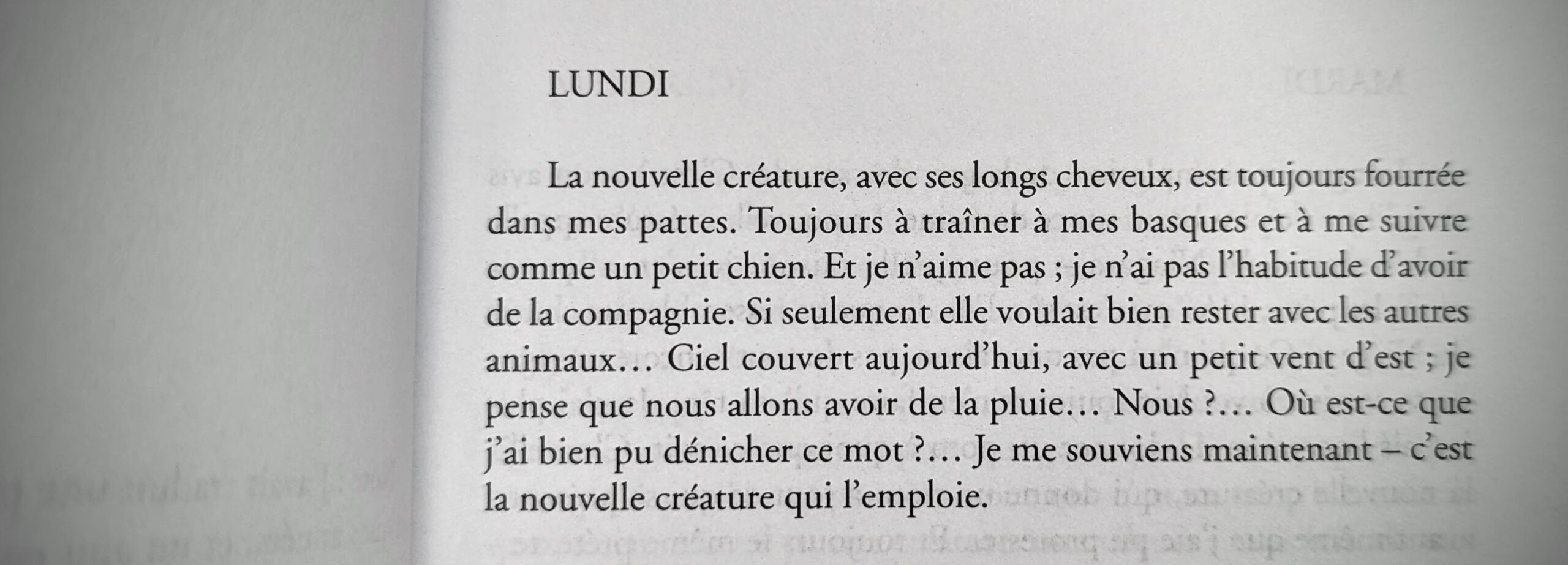 Romain Gary  Citations sympa, Citation, Citation livre